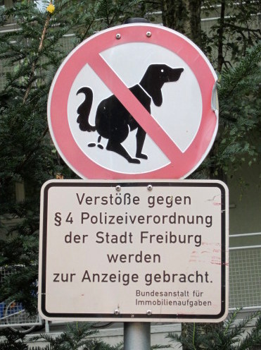 no dog pooping