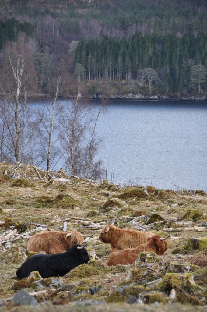 Ladies resting near Loch Gary.