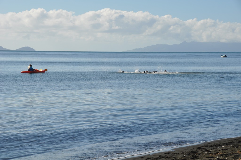 ocean swim