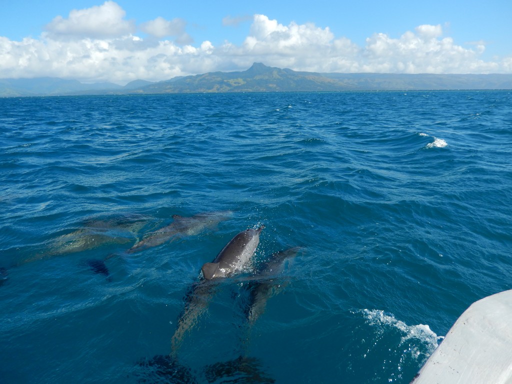 The white on the right of the picture is the bow of "Bruiser". 