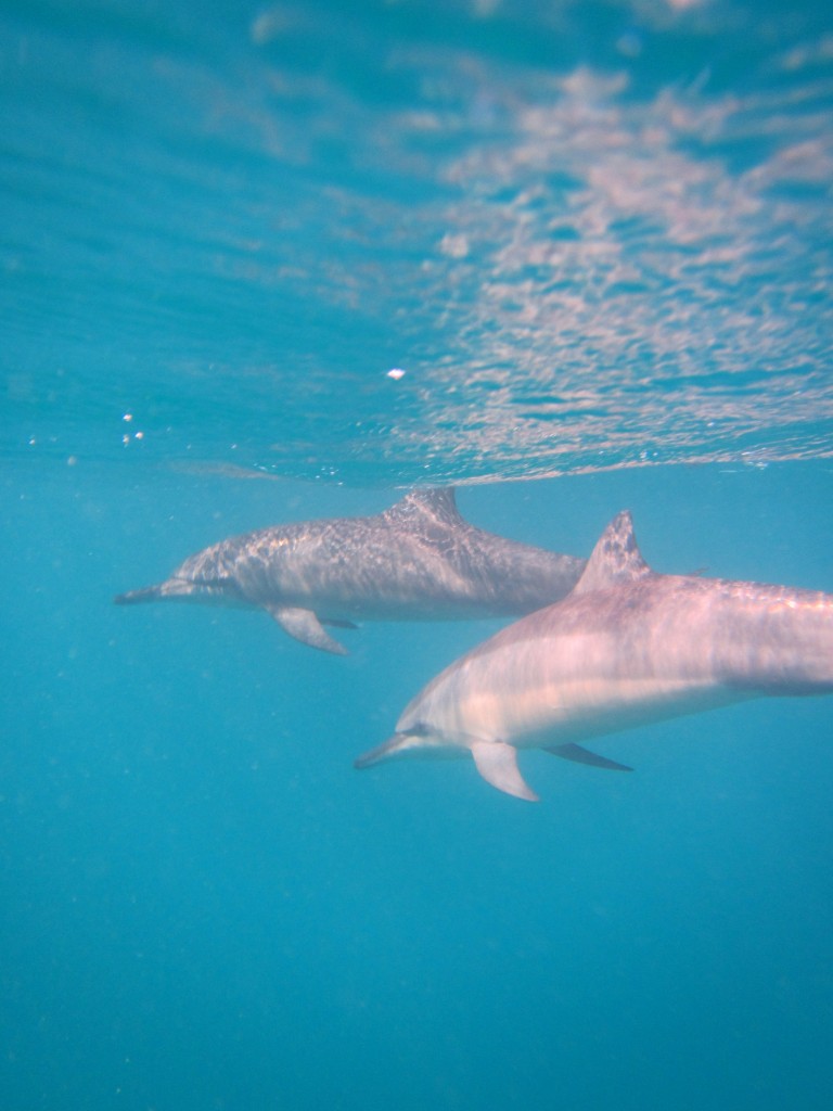 underwater swimming