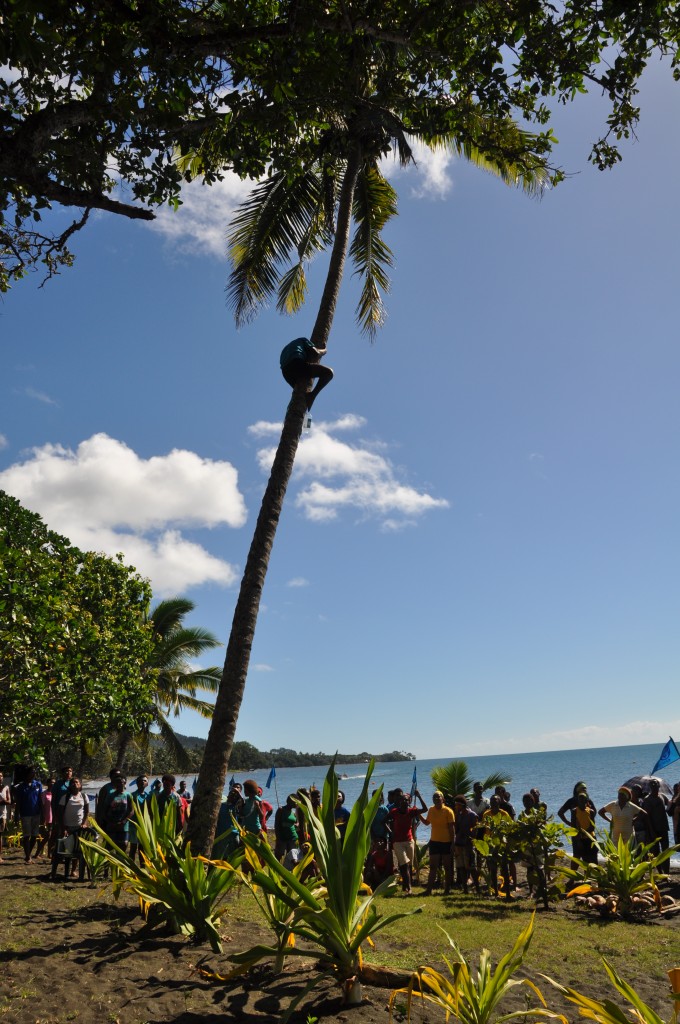 coconut climb