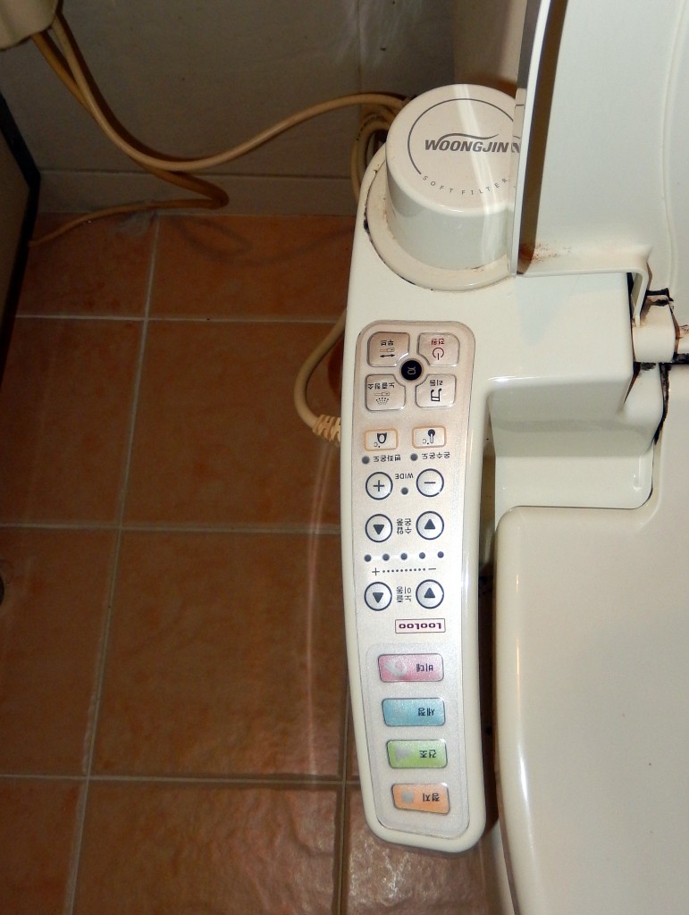 Toilet controls