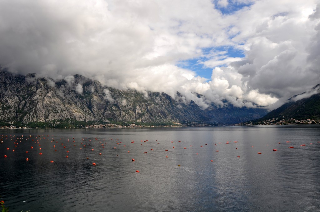 Bay of Kotor