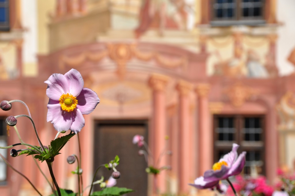 Flowers outside the Pilatushaus.