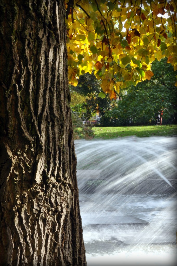 fall waterfall