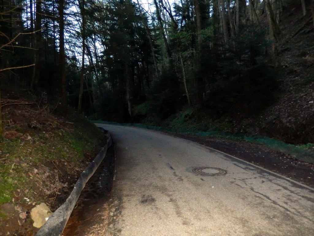 Frog-fences on both sides of the road.