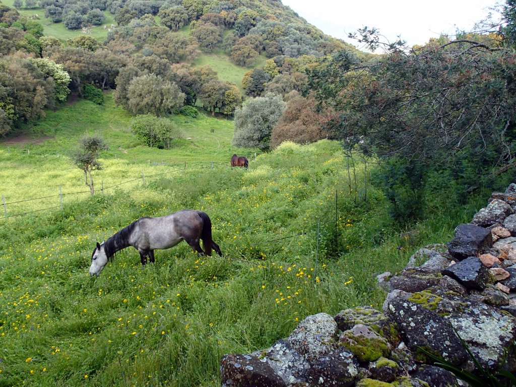 Two of the six mounts.