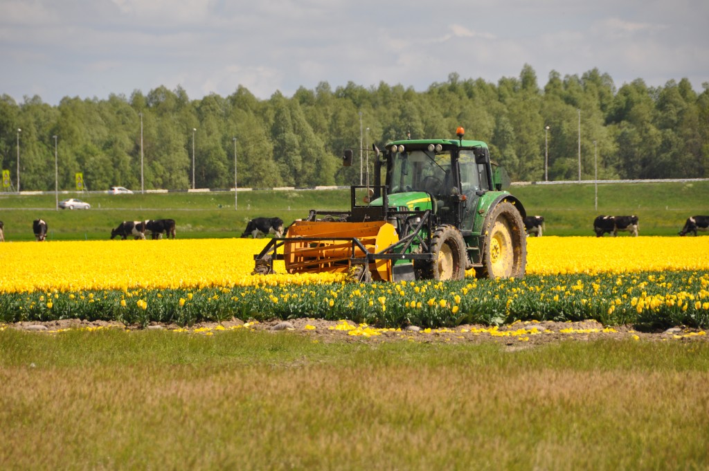 tractor