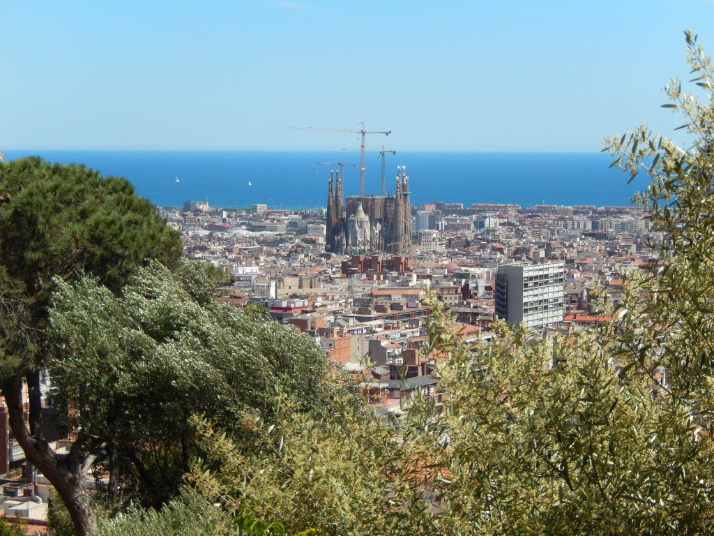 Sagrada Família from the park.